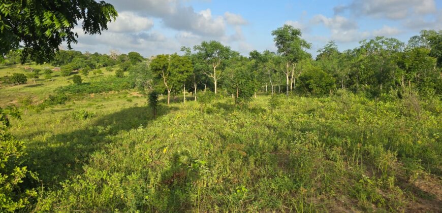 Land for sale