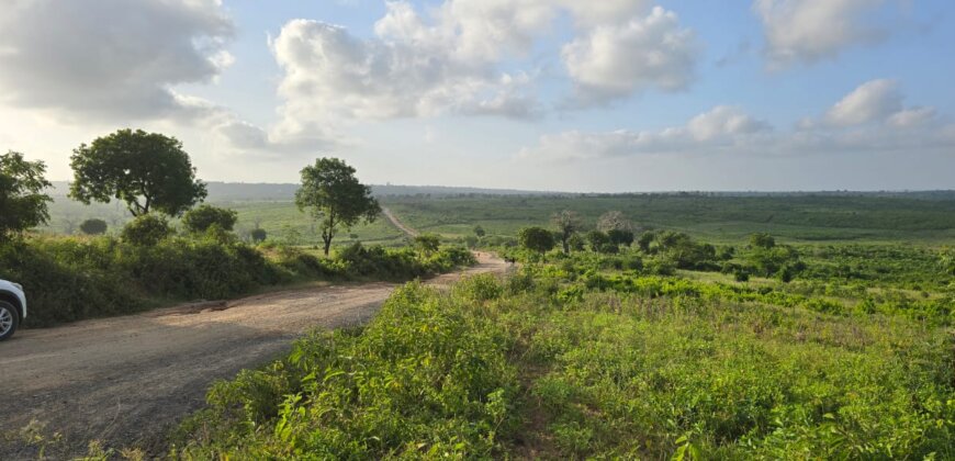 Land for sale