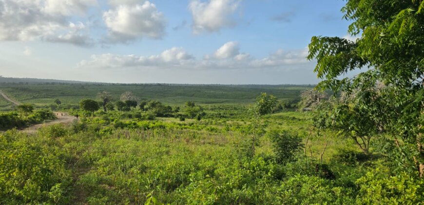 Land for sale