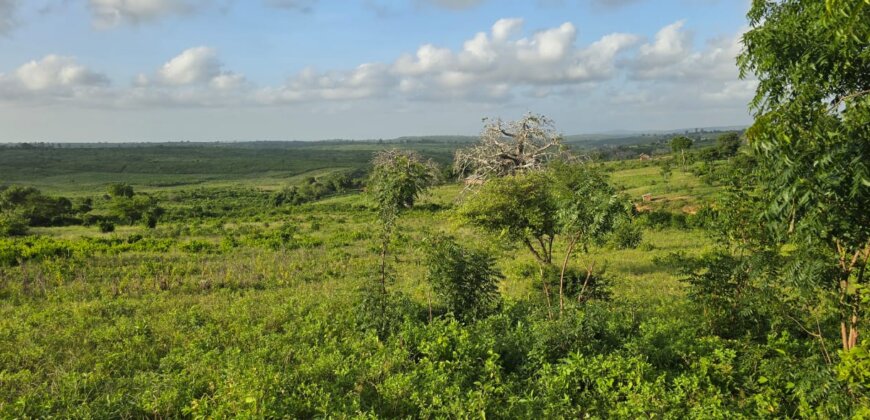 Land for sale