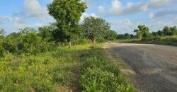 Land for sale
