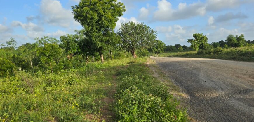 Land for sale