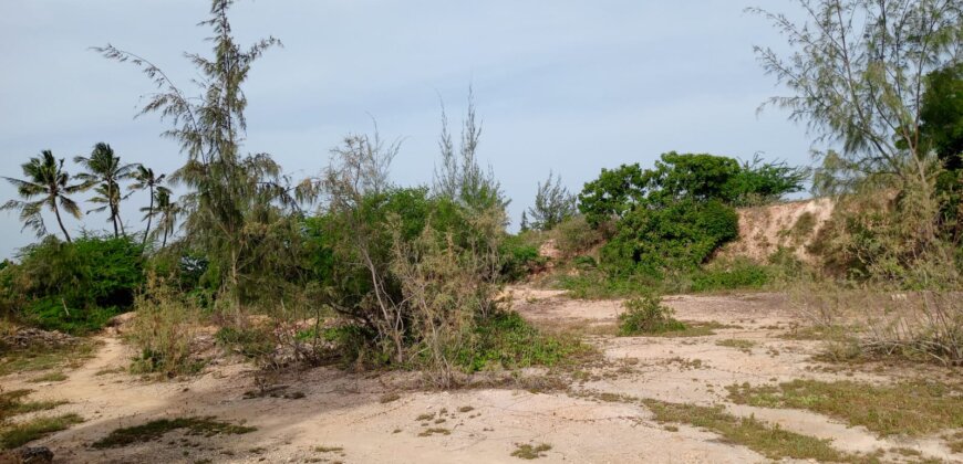 Land On Sale