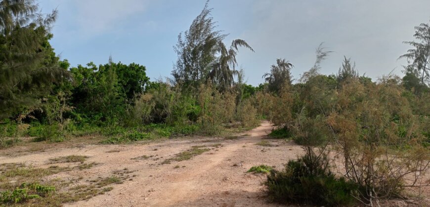 Land On Sale