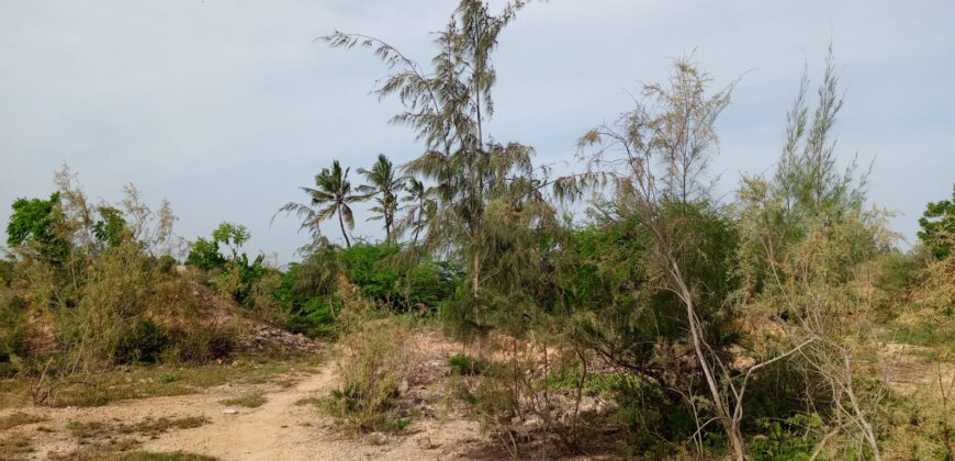 Land On Sale