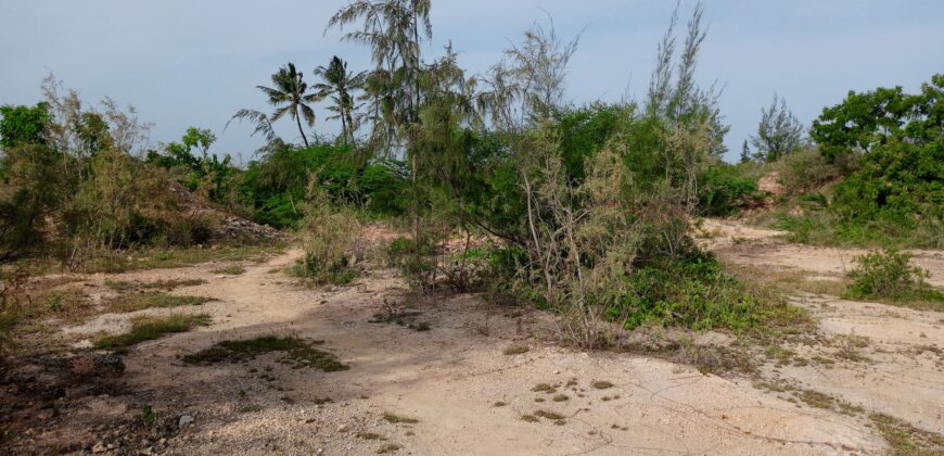 Land On Sale