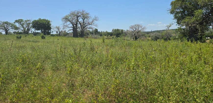 Land for Sale