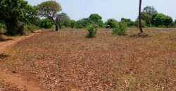 Land for sale