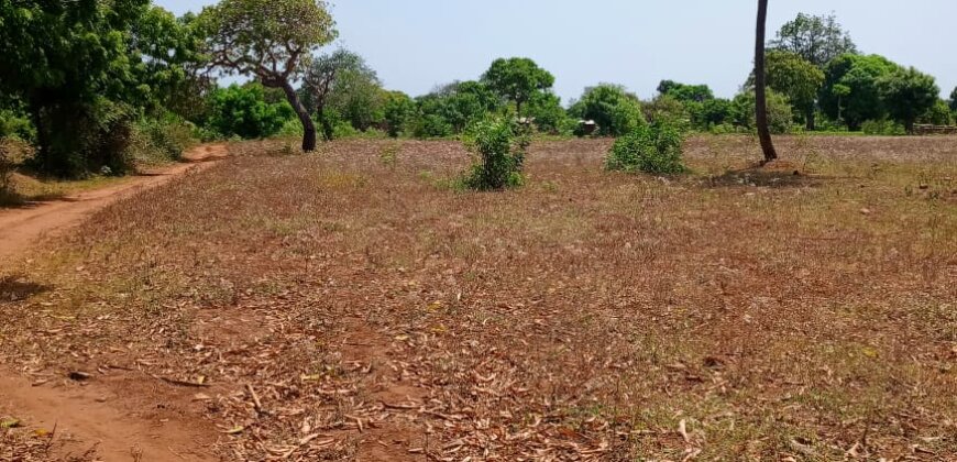 Land for sale