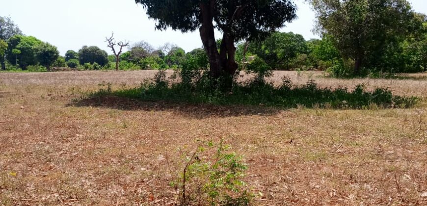 Land for sale