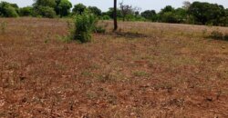Land for sale