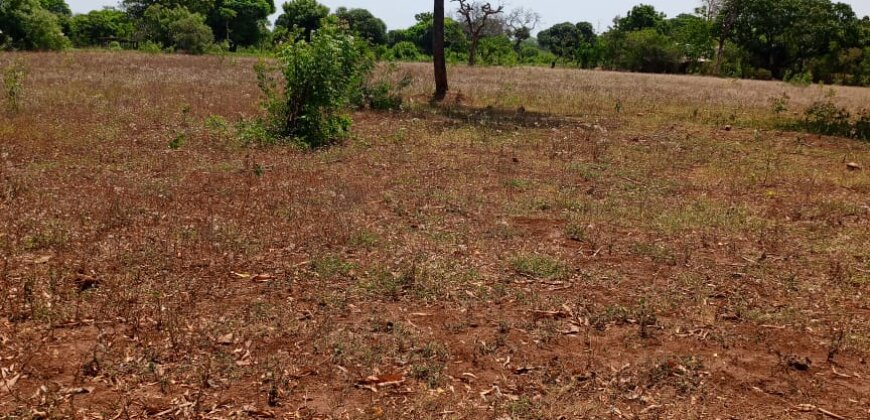 Land for sale