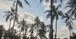 Land for sale