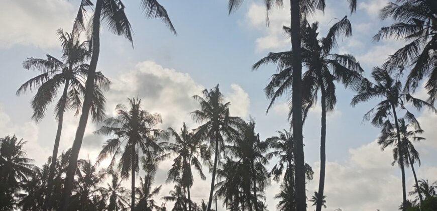 Land for sale