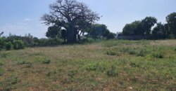 LAND ON SALE