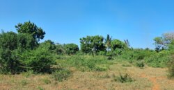 LAND ON SALE