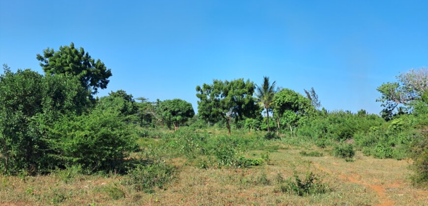 LAND ON SALE