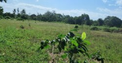 LAND ON SALE