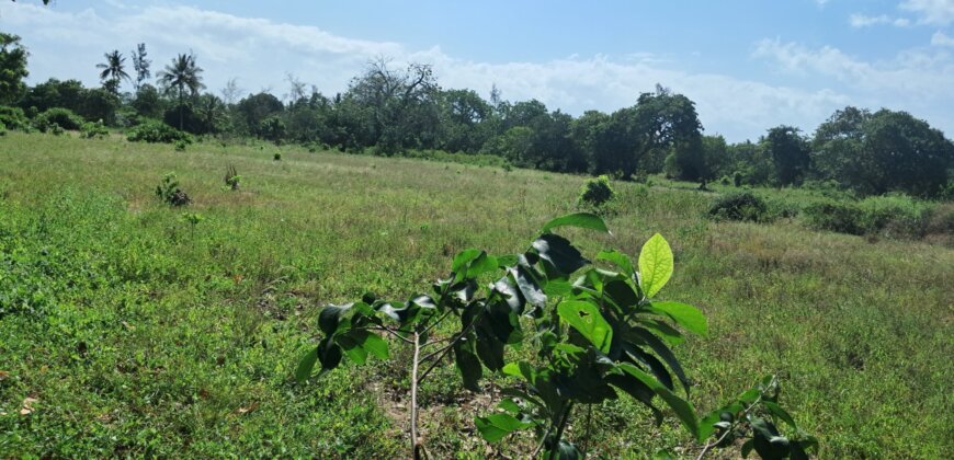 LAND ON SALE