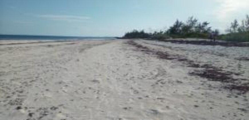 PLOT FOR SALE