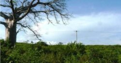 PLOT FOR SALE