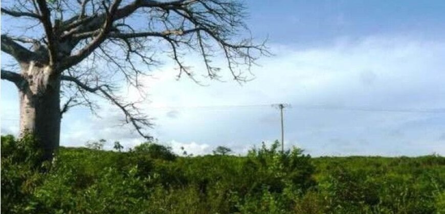 PLOT FOR SALE