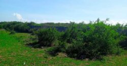 CHUMANI BEACH PLOT FOR SALE