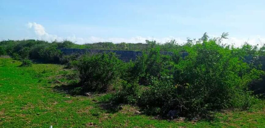 CHUMANI BEACH PLOT FOR SALE