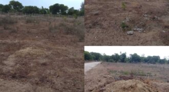 BEACH PLOT ON SALE WATAMU