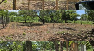 PRIME PLOT FOR SALE TEZO