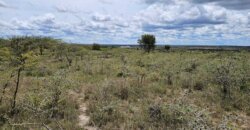 COMMERCIAL PLOTS