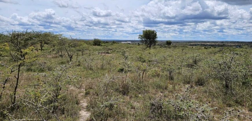 COMMERCIAL PLOTS