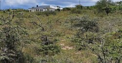 COMMERCIAL PLOTS