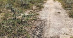 COMMERCIAL PLOTS