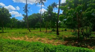 EXCLUSIVE PLOT FOR SALE MTONDIA