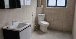LUXURIOUS PENTHOUSE HOUSE FOR SALE BOFA