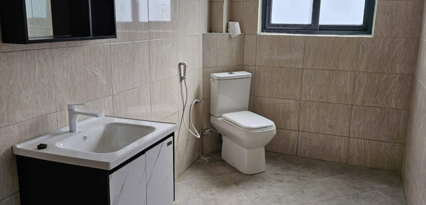 LUXURIOUS PENTHOUSE HOUSE FOR SALE BOFA