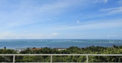 LUXURIOUS PENTHOUSE HOUSE FOR SALE BOFA