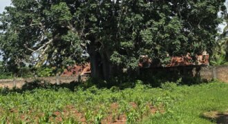 100 by 100 plots for sale in mtondia, kilifi.