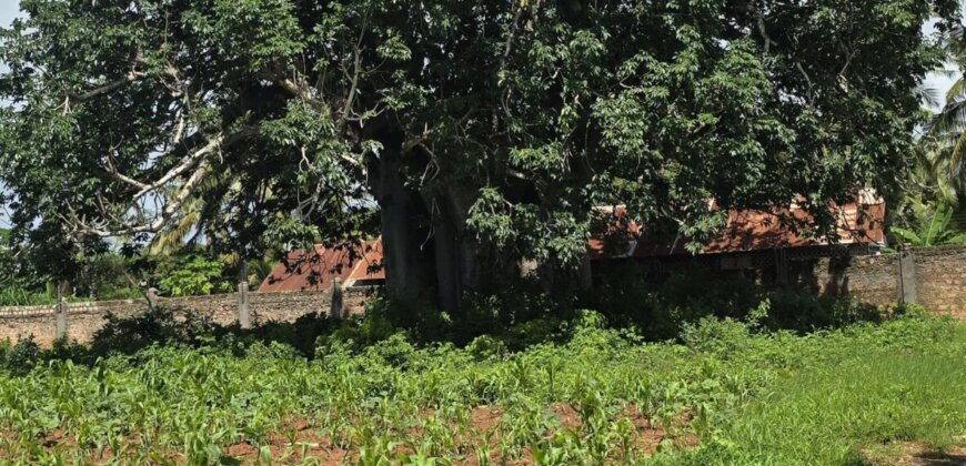 100 by 100 plots for sale in mtondia, kilifi.