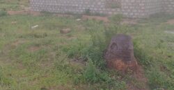 1 ACRE LAND FOR LEASING MTONDIA