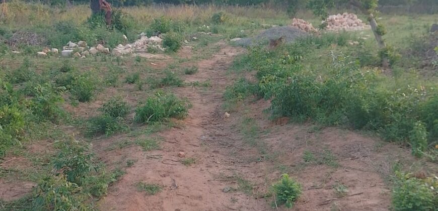 1 ACRE LAND FOR LEASING MTONDIA