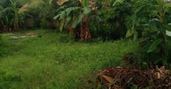 PRIME PLOT FOR SALE UWANJA WA WATER KILIFI