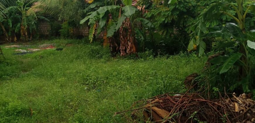 PRIME PLOT FOR SALE UWANJA WA WATER KILIFI