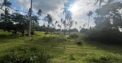 PRIME LAND FOR SALE MATSANGONI