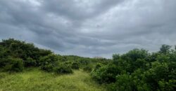 BEACHFRONT PROPERTY FOR SALE CHUMANI KILIFI