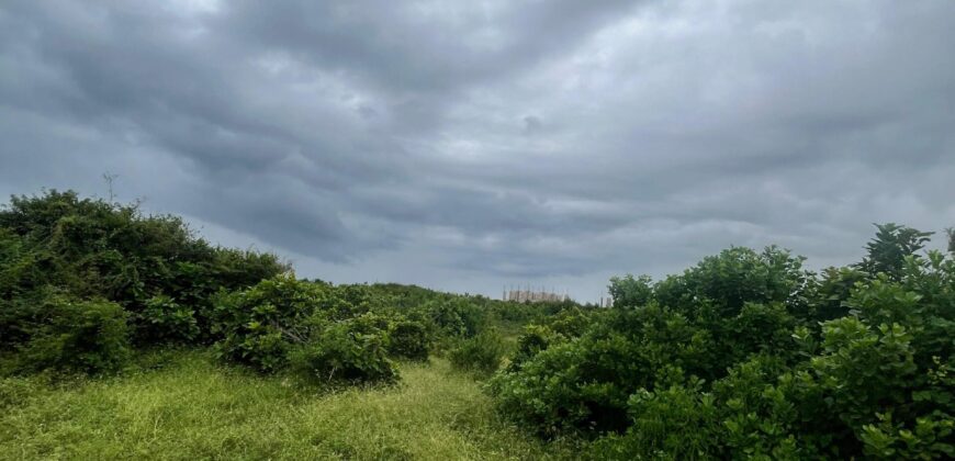 BEACHFRONT PROPERTY FOR SALE CHUMANI KILIFI
