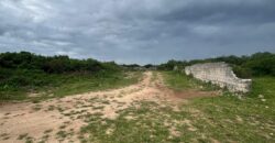 BEACHFRONT PROPERTY FOR SALE CHUMANI KILIFI
