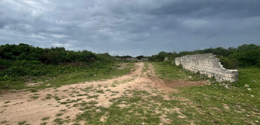 BEACHFRONT PROPERTY FOR SALE CHUMANI KILIFI