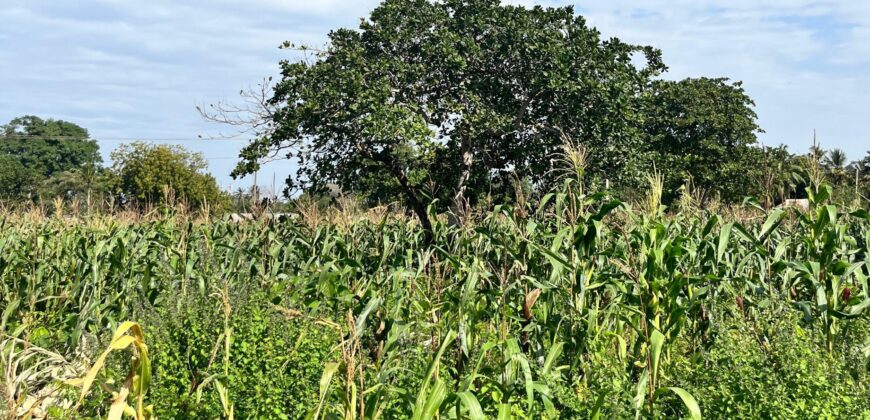 AN ACRE PLOT FOR SALE MTONDIA